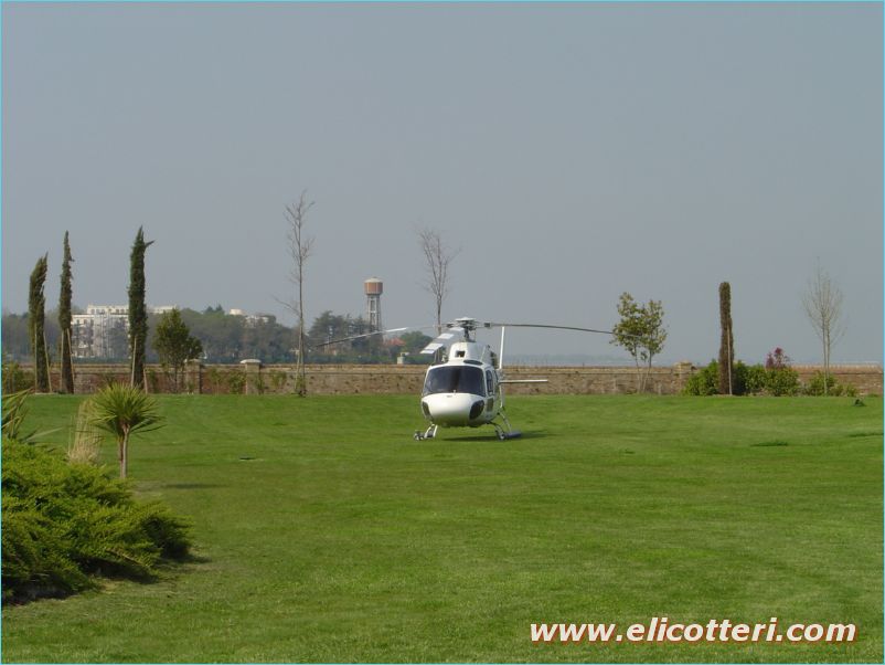 elifoto (69)